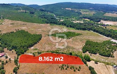 ÇANAKKALE AYVACIK ASSOS SAZLIDA İMARLI 8.162 M² SATILIK ARSA