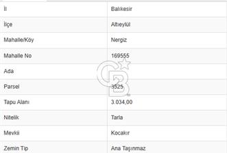 CB KİNG'DEN BALIKESİR/NERGİZ MAHALLESİNDE SATILIK TARLA