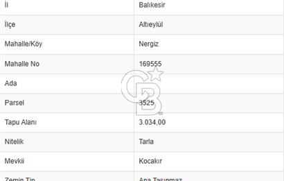 CB KİNG'DEN BALIKESİR/NERGİZ MAHALLESİNDE SATILIK TARLA