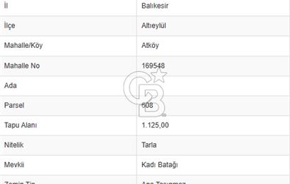 CB KİNG'DEN BALIKESİR/ATKÖY MAHALLESİNDE SATILIK TARLA