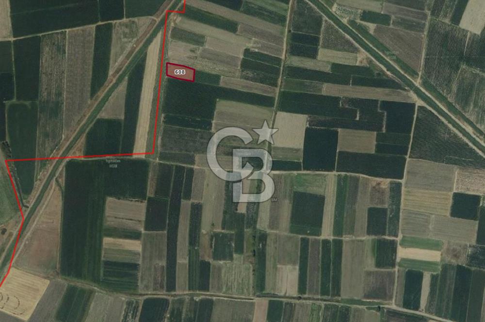 CB KİNG'DEN BALIKESİR/ATKÖY MAHALLESİNDE SATILIK TARLA