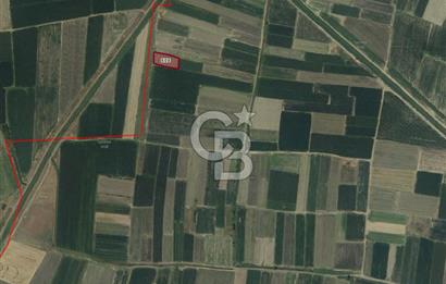 CB KİNG'DEN BALIKESİR/ATKÖY MAHALLESİNDE SATILIK TARLA
