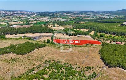 ÇANAKKALE AYVACIK ASSOS SAZLIDA İMARLI 8.162 M² SATILIK ARSA