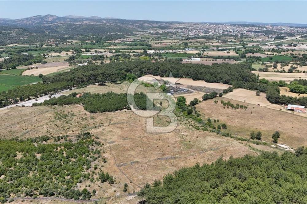 ÇANAKKALE AYVACIK ASSOS SAZLIDA İMARLI 8.162 M² SATILIK ARSA