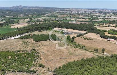 ÇANAKKALE AYVACIK ASSOS SAZLIDA İMARLI 8.162 M² SATILIK ARSA