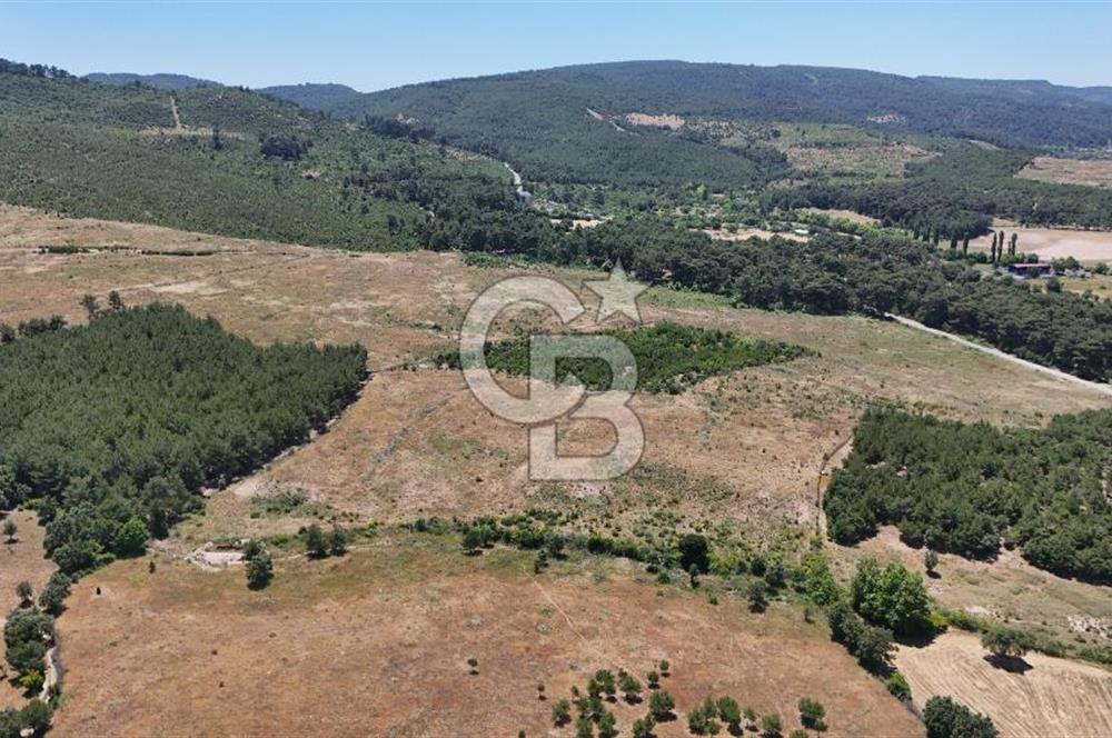 ÇANAKKALE AYVACIK ASSOS SAZLIDA İMARLI 8.162 M² SATILIK ARSA