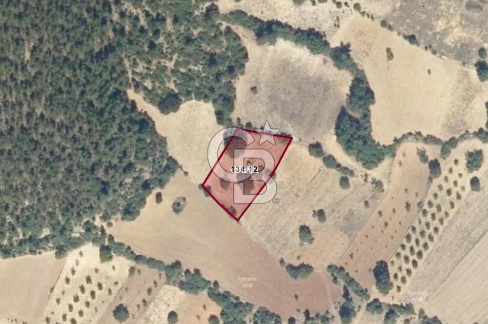 FIRSAT! KELES KARAARDIÇ MAHALLESİNDE 2100 m² YATIRIMLIK TARLA