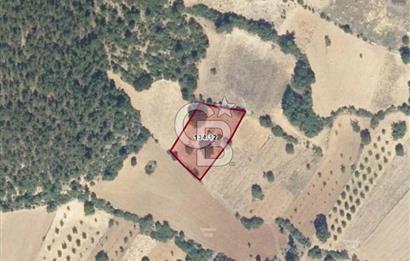 FIRSAT! KELES KARAARDIÇ MAHALLESİNDE 2100 m² YATIRIMLIK TARLA
