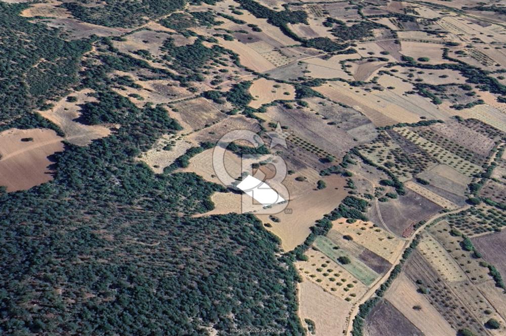 FIRSAT! KELES KARAARDIÇ MAHALLESİNDE 2100 m² YATIRIMLIK TARLA