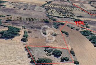 FIRSAT! KELES KARAARDIÇ MAHALLESİNDE 2100 m² YATIRIMLIK TARLA