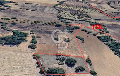 FIRSAT! KELES KARAARDIÇ MAHALLESİNDE 2100 m² YATIRIMLIK TARLA