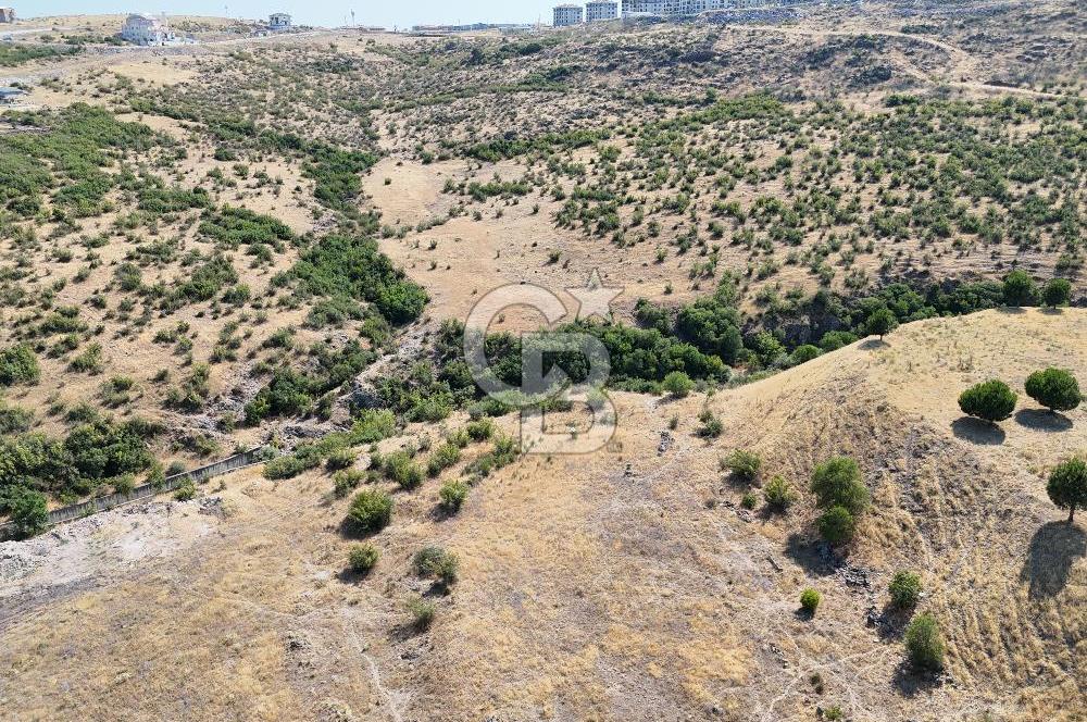 CB KİNG'DEN BALIKESİR/GAZİOSMANPAŞA MAHALLESİ SATILIK ARSA