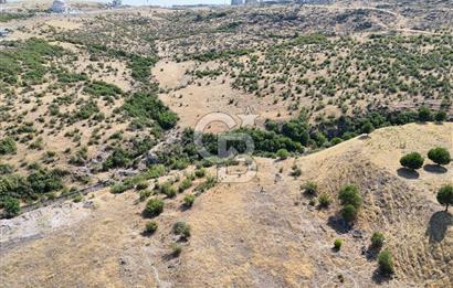 CB KİNG'DEN BALIKESİR/GAZİOSMANPAŞA MAHALLESİ SATILIK ARSA