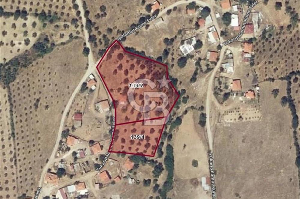BAYRAMİÇ PALAMUTOBA'DA İMAR ALANI İÇİNDE SATILIK ARAZİLER
