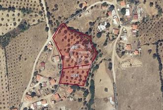 BAYRAMİÇ PALAMUTOBA'DA İMAR ALANI İÇİNDE SATILIK ARAZİLER