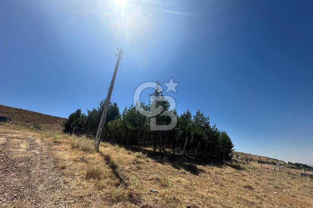 CB ENVOY'dan Ankara Çankaya Yakupabdal'da Satılık 914 m2 Tarla