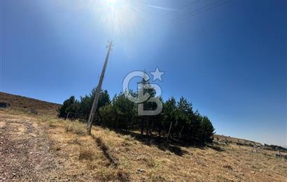 CB ENVOY'dan Ankara Çankaya Yakupabdal'da Satılık 914 m2 Tarla
