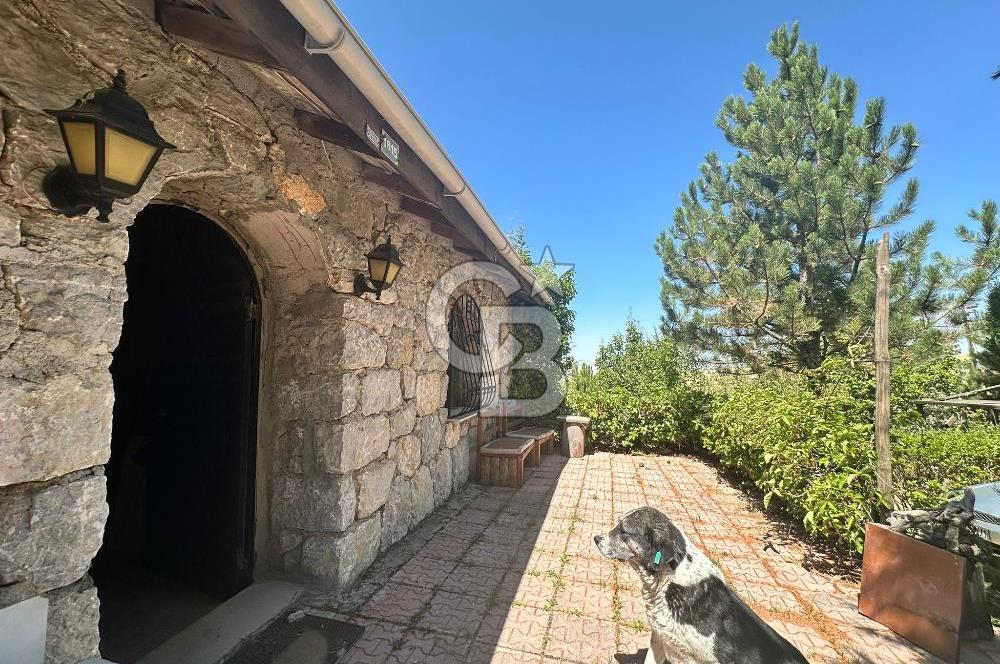 CB ENVOY'dan Ankara Çankaya Yakupabdal'da Satılık 914 m2 Tarla