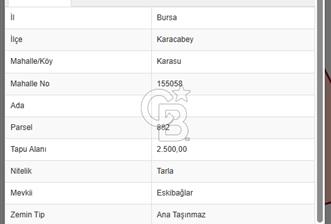 BURSA KARACABEY KARASU'DA TARLA