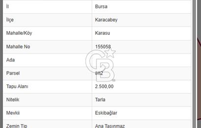 BURSA KARACABEY KARASU'DA TARLA