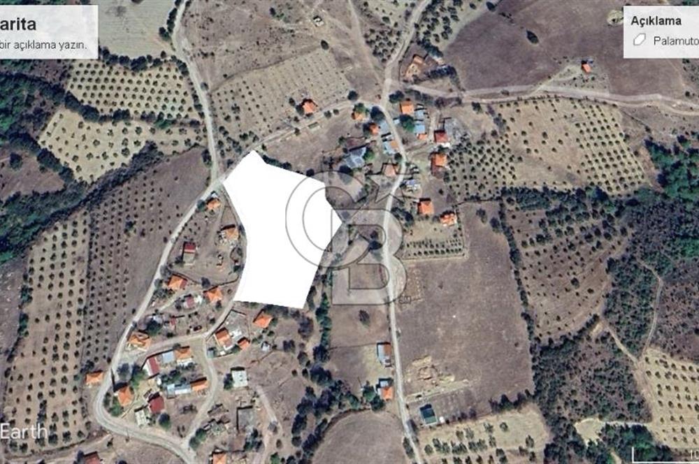 BAYRAMİÇ PALAMUTOBA'DA İMAR ALANI İÇİNDE SATILIK ARAZİLER