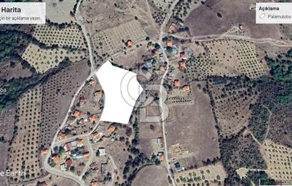 BAYRAMİÇ PALAMUTOBA'DA İMAR ALANI İÇİNDE SATILIK ARAZİLER
