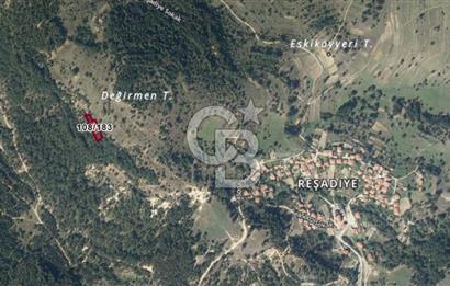 BALIKESİR DURSUNBEY REŞADİYE’DE 1.105 M2 SATILIK TARLA