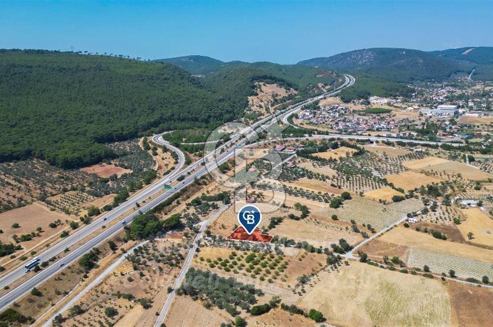 İzmir, Urla, Zeytinler’de 48 Metre Yola Cepheli Satılık Tarla 