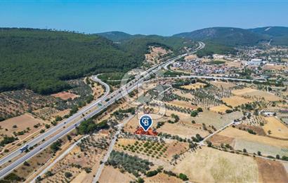 İzmir, Urla, Zeytinler’de 48 Metre Yola Cepheli Satılık Tarla 