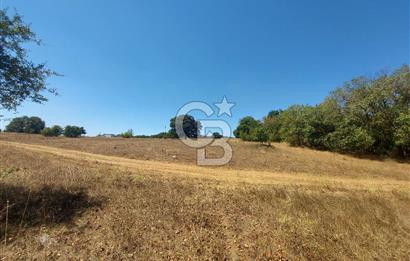Gebze Mollafenari Akviran'da satılık konut arsası.