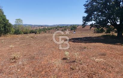 Gebze Mollafenari Akviran'da satılık konut arsası.