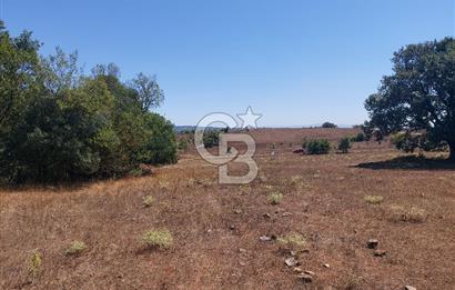 Gebze Mollafenari Akviran'da satılık konut arsası.