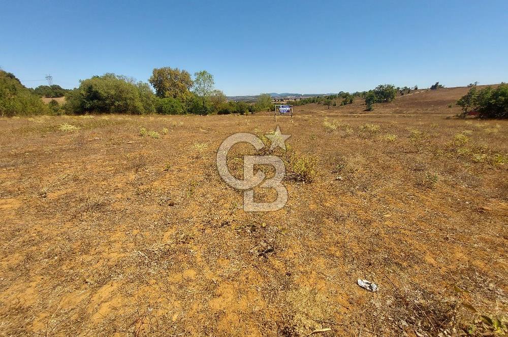 Gebze Mollafenari Akviran'da satılık konut arsası.