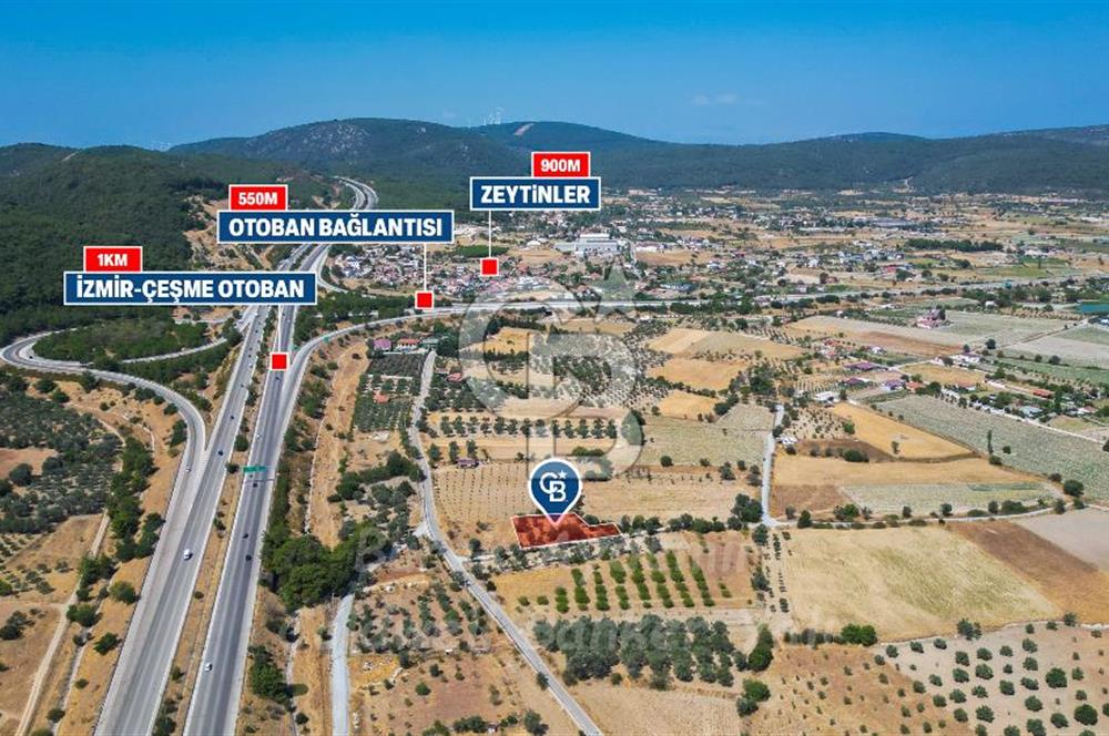İzmir, Urla, Zeytinler’de 48 Metre Yola Cepheli Satılık Tarla 