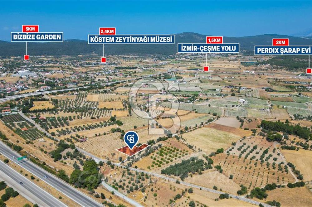 İzmir, Urla, Zeytinler’de 48 Metre Yola Cepheli Satılık Tarla 