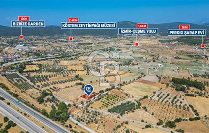 İzmir, Urla, Zeytinler’de 48 Metre Yola Cepheli Satılık Tarla 