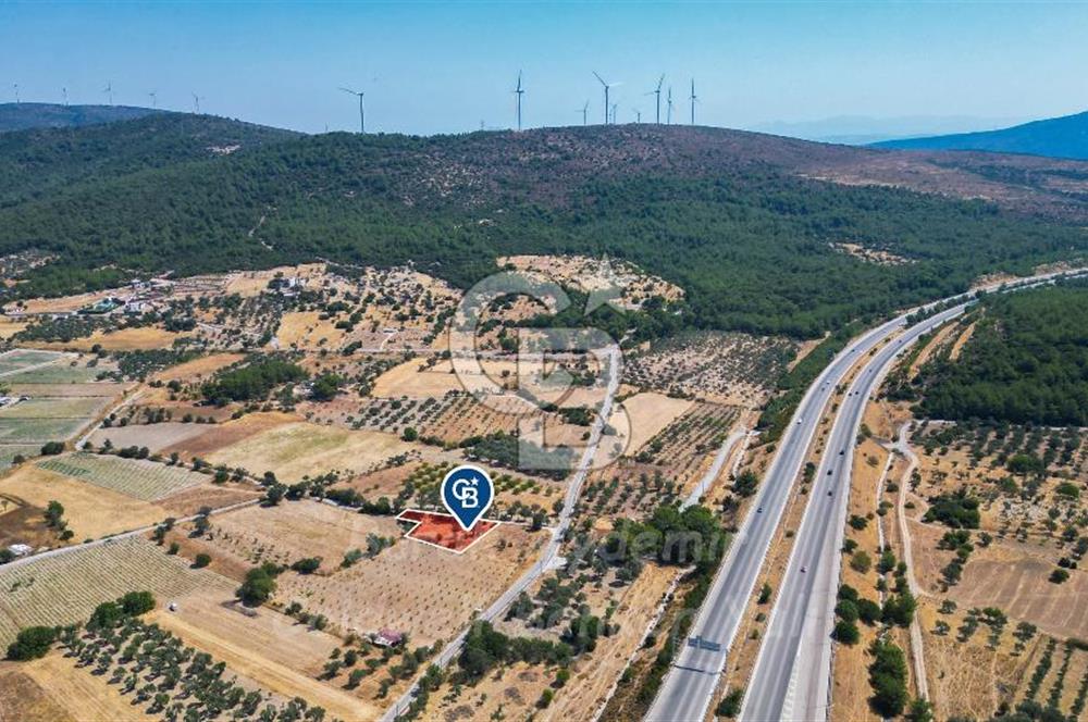 İzmir, Urla, Zeytinler’de 48 Metre Yola Cepheli Satılık Tarla 