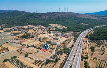 İzmir, Urla, Zeytinler’de 48 Metre Yola Cepheli Satılık Tarla 