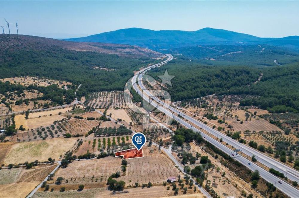 İzmir, Urla, Zeytinler’de 48 Metre Yola Cepheli Satılık Tarla 