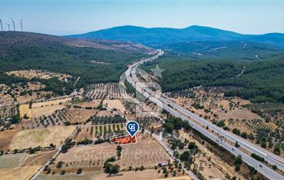 İzmir, Urla, Zeytinler’de 48 Metre Yola Cepheli Satılık Tarla 