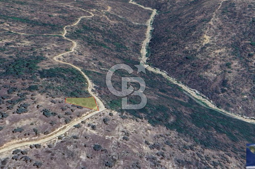 Bodrum Kemer’de satılık 1846 metrekare tarla.