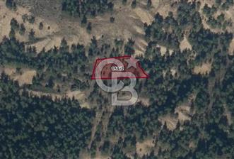 BİLECİK SÖĞÜT YAKACIK’TA 1.578 M2 SATILIK TARLA