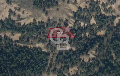 BİLECİK SÖĞÜT YAKACIK’TA 1.578 M2 SATILIK TARLA