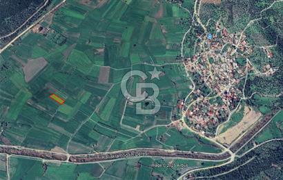 Bodrum Kemer’de satılık 1846 metrekare tarla.