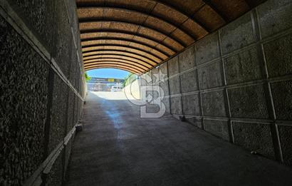 CB DİNAMİK'TEN Şehir Merkezine Yakın 4+1 Geniş Dubleks | Teraslı | 2 Kilerli | Otoparklı | Site İçinde