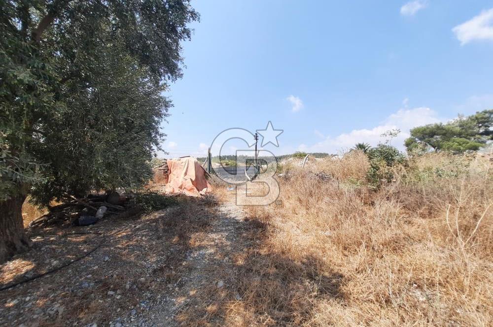 Mersin Toroslar Çelebili'de Satılık Tarla
