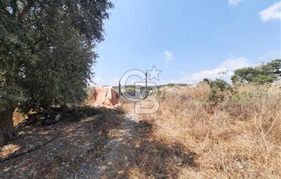 Mersin Toroslar Çelebili'de Satılık Tarla