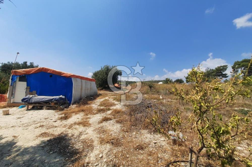 Mersin Toroslar Çelebili'de Satılık Tarla