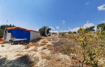Mersin Toroslar Çelebili'de Satılık Tarla