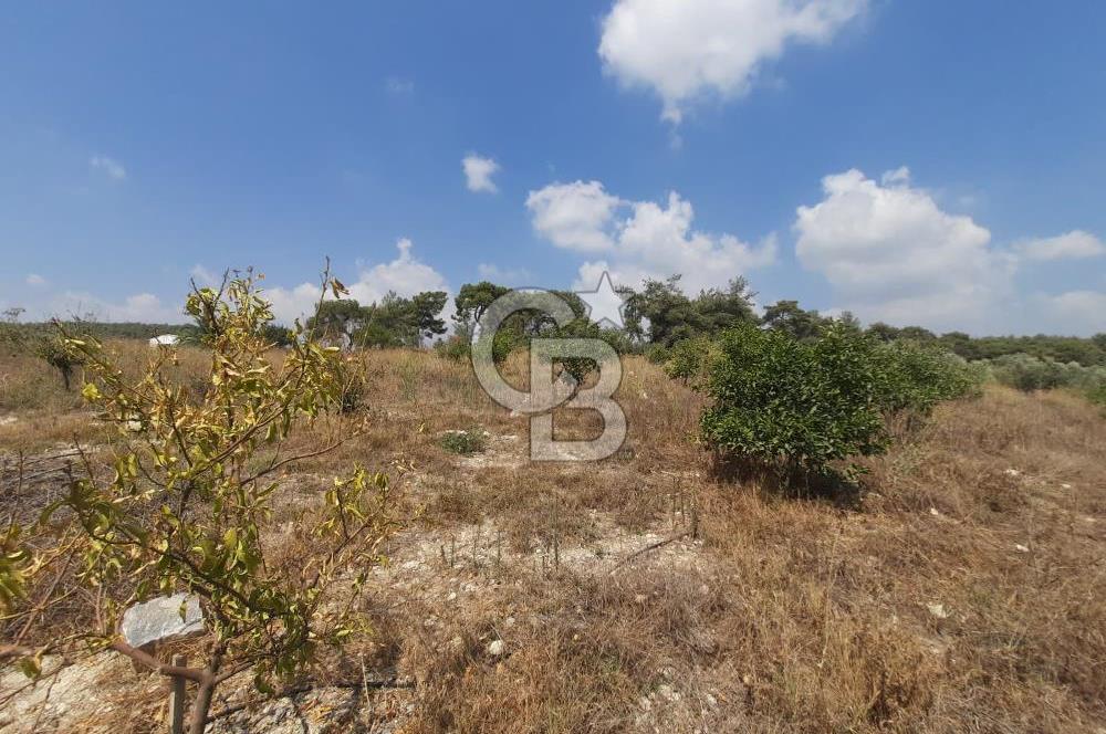 Mersin Toroslar Çelebili'de Satılık Tarla